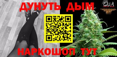 Альфа ПВП Гатчина