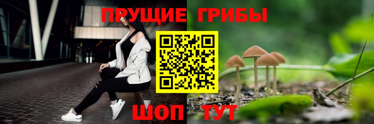 Галлюциногенные грибы GOLDEN TEACHER Верхний Уфалей